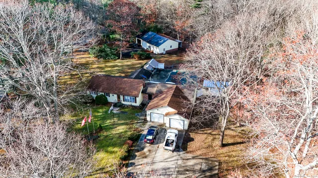 a view of a yard with plants