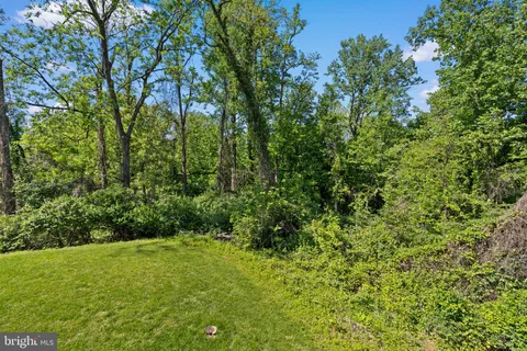 a view of yard with green space