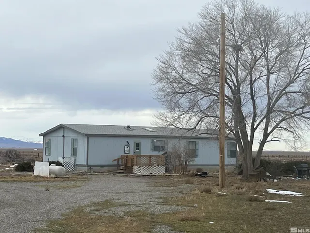 a large tree in front of a house