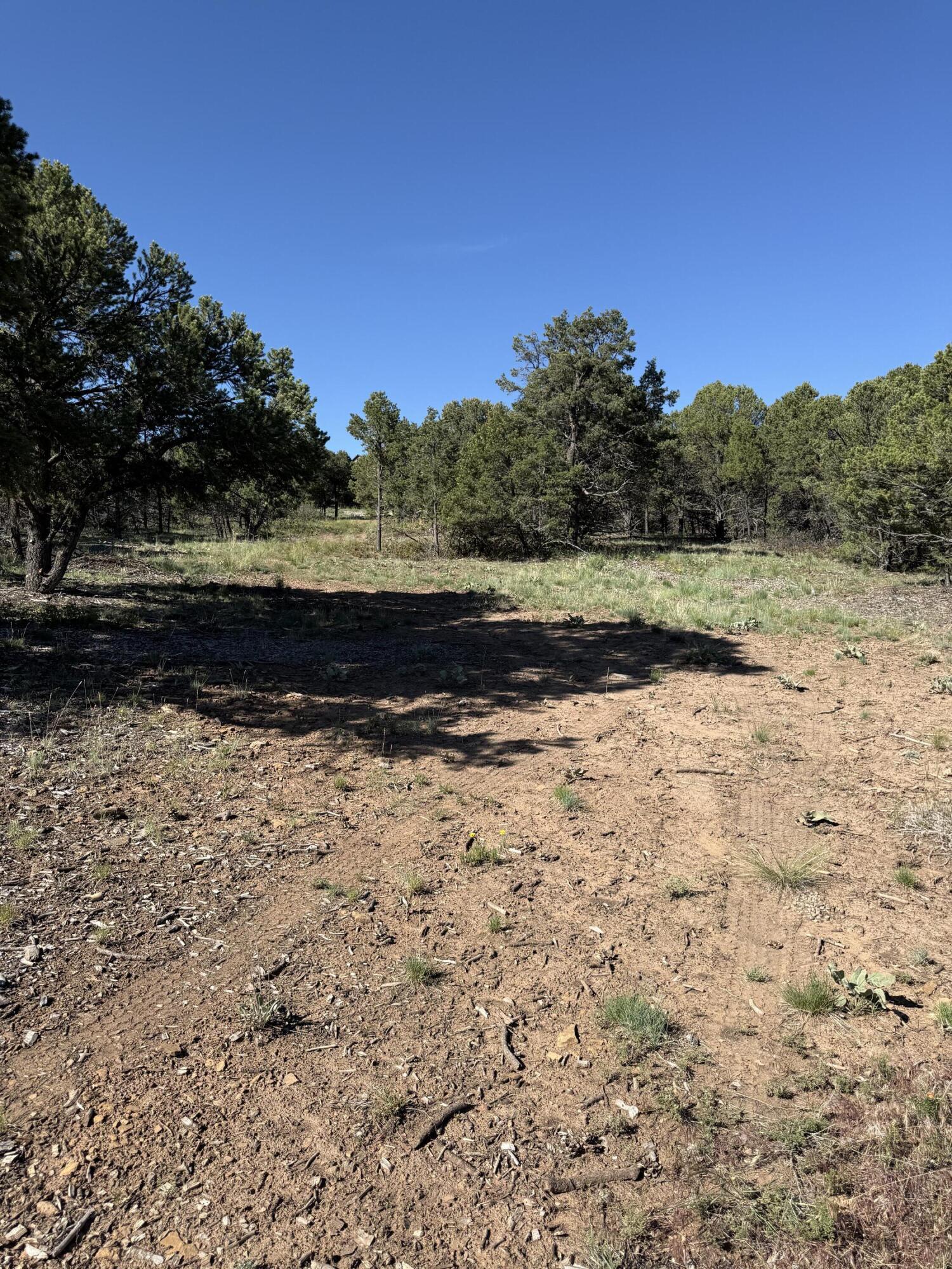 175 Pinon Road East Ridgway, CO 81432 - Photo 11 of 11 a view of outdoor space with lake view