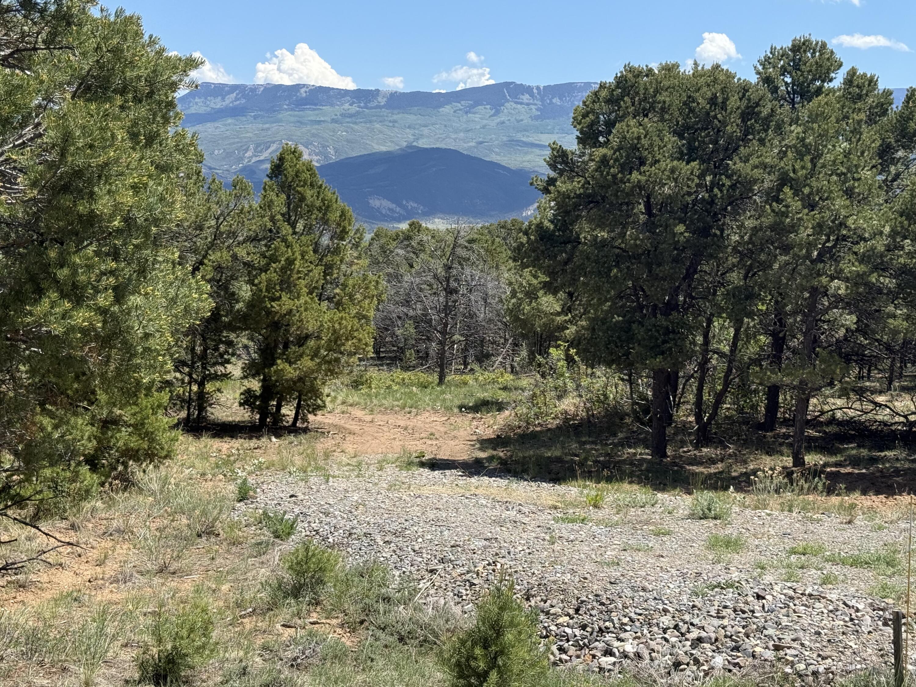 175 Pinon Road East Ridgway, CO 81432 - Photo 2 of 11 a view of a yard with wooden fence