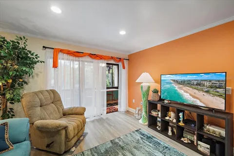 a living room with furniture flowerpot and a potted plant