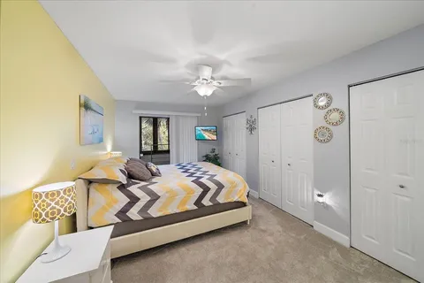 a view of a park with large trees