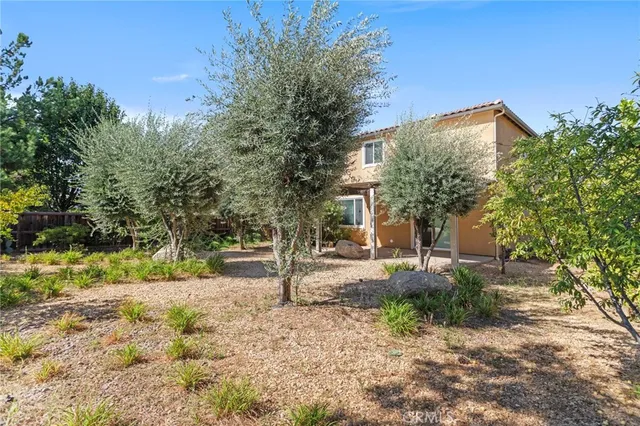 a backyard of a house with a tree