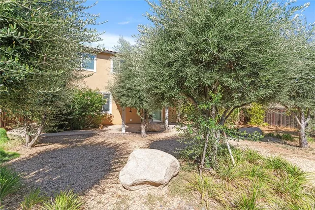 a view of a backyard