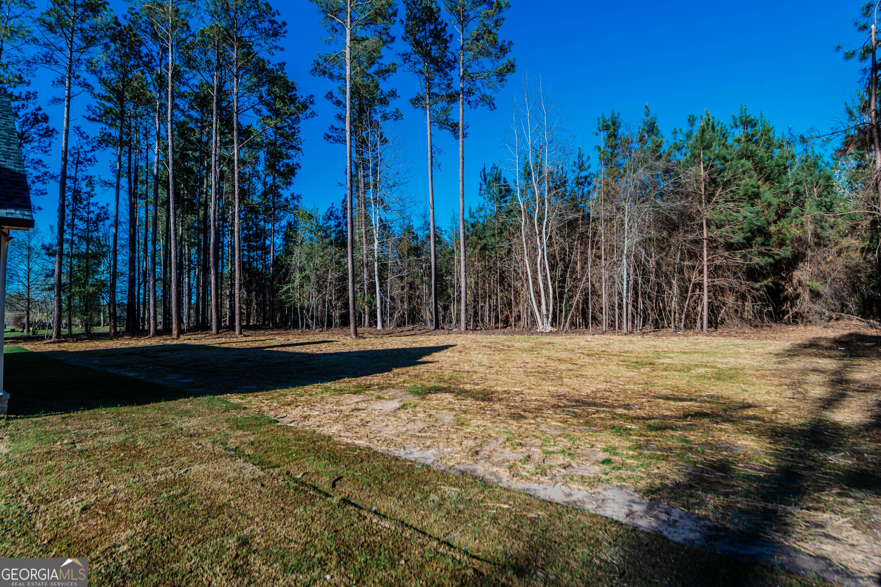 2089 Willow Lake Road Fort Valley, GA 31030 - Photo 48 of 50 a view of backyard with tree