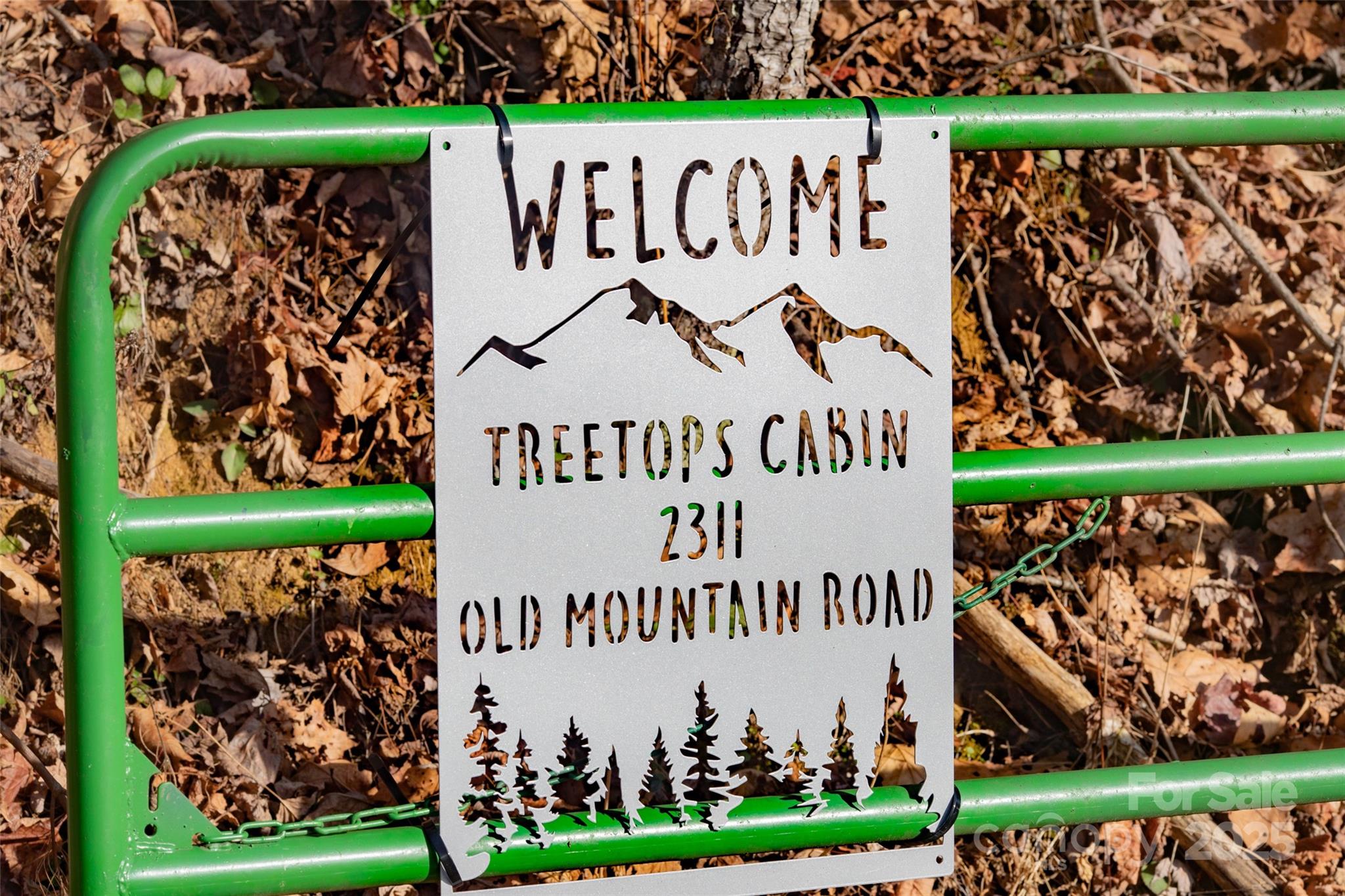 2311 Old Mountain Road Mars Hill, NC 28754 - Photo 23 of 23