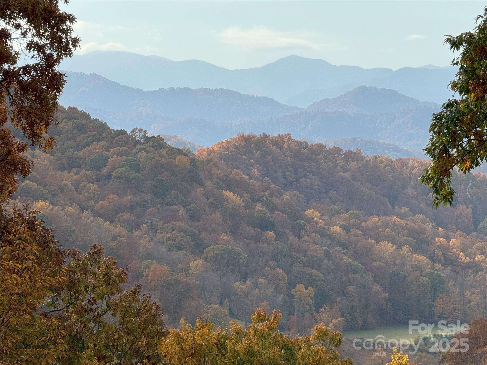 2311 Old Mountain Road Mars Hill, NC 28754 - Photo 6 of 23