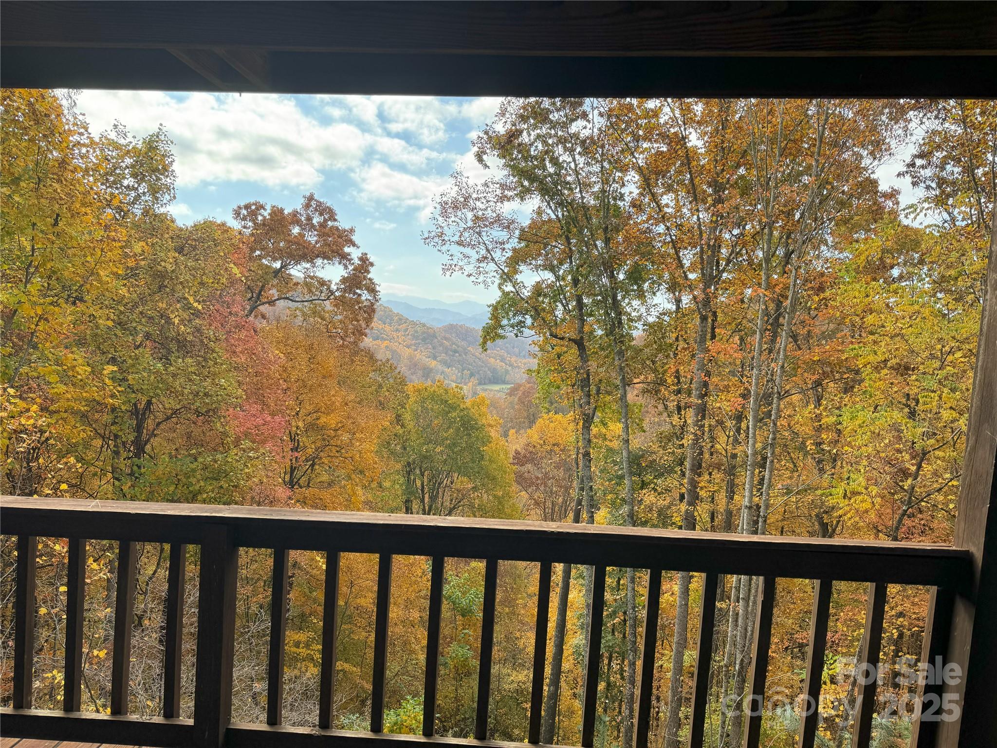 2311 Old Mountain Road Mars Hill, NC 28754 - Photo 8 of 23