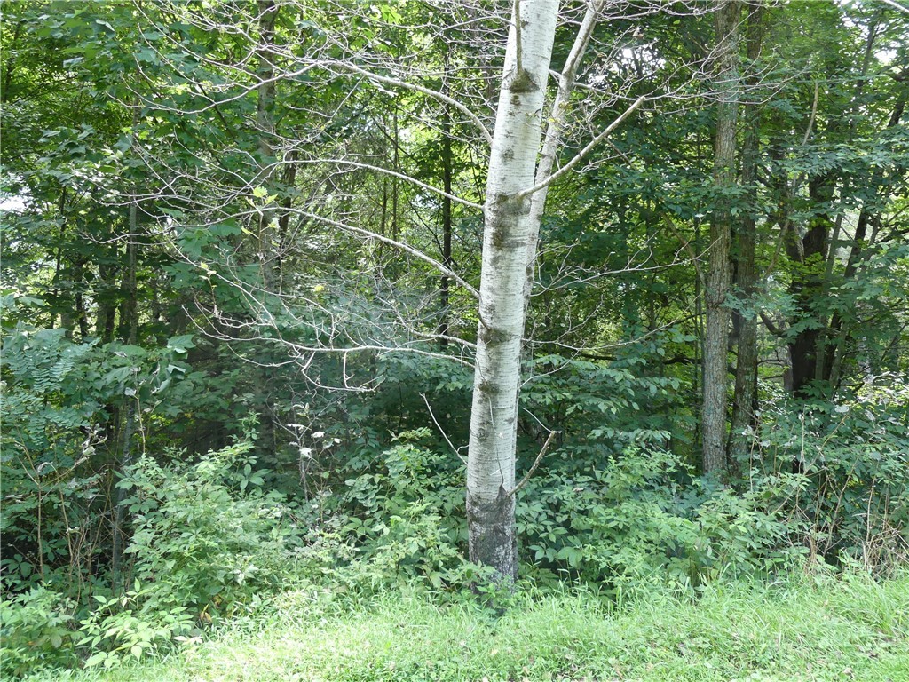 Lot 17 Farm Loop Road Banner Elk, NC 28604 - Photo 4 of 12