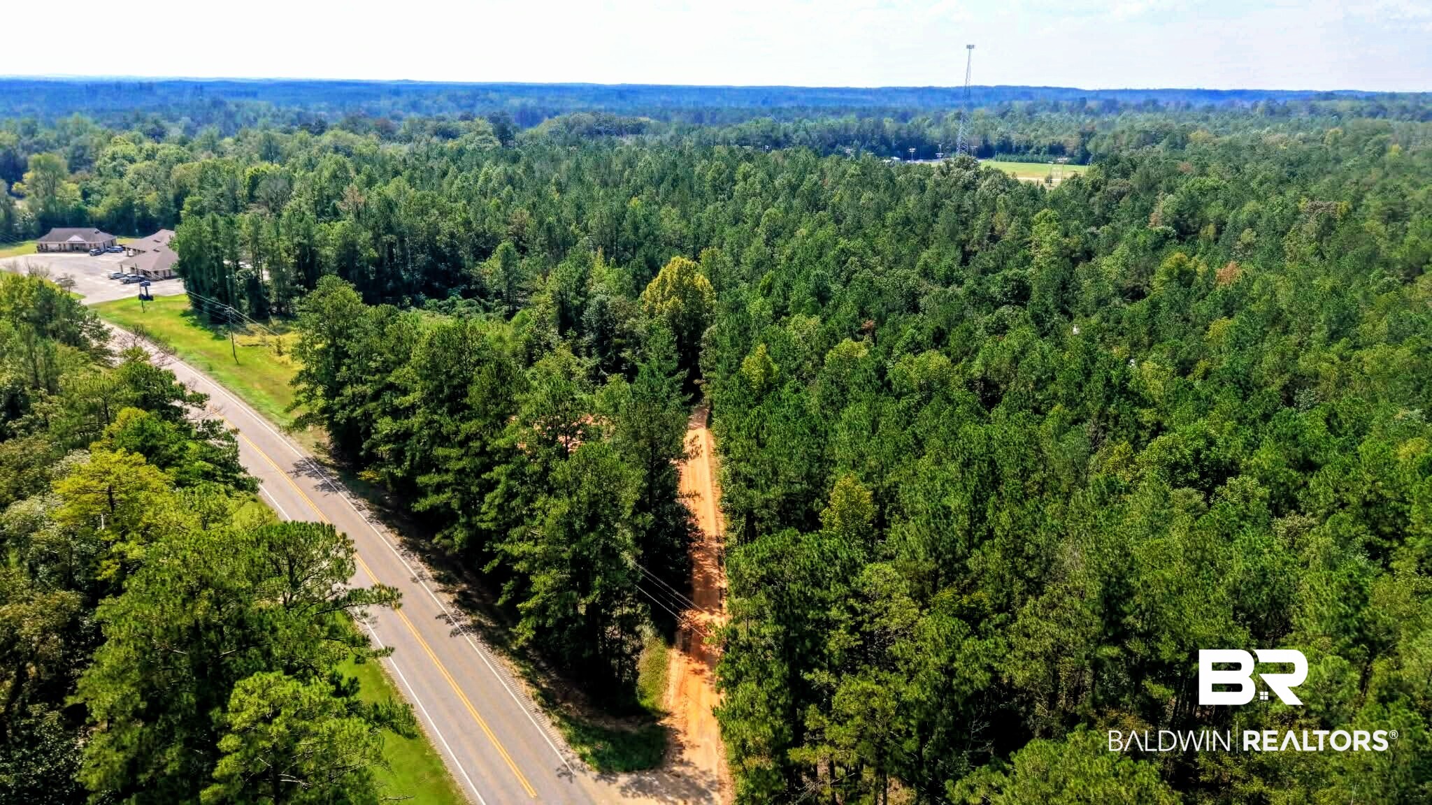 0 Pheasant Road Gilbertown, AL 36908 - Photo 15 of 31 Gallery Image 15