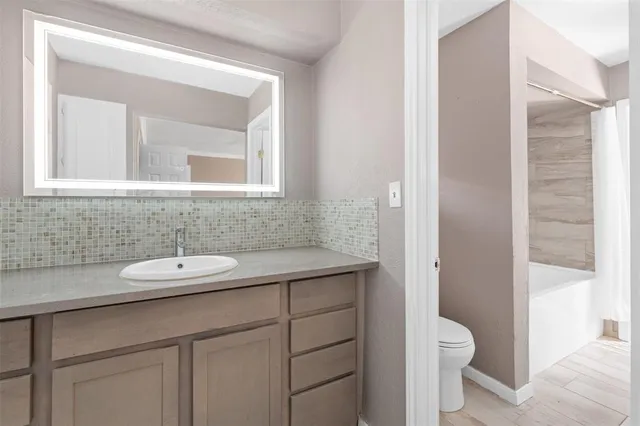 a bathroom with a sink and a toilet