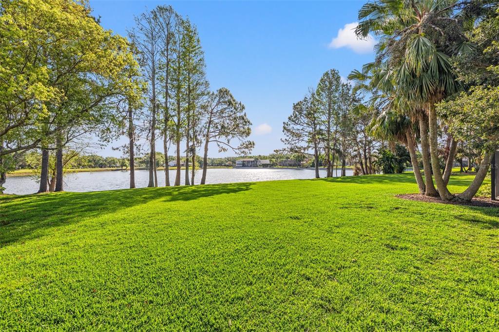 4121 Highland Park Circle Lutz, FL 33558 - Photo 41 of 52