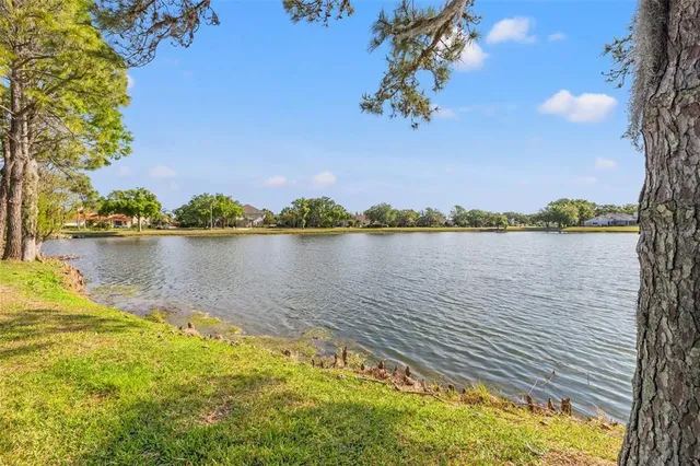 $1,750,000 | 4121 Highland Park Circle, Lutz, FL 33558