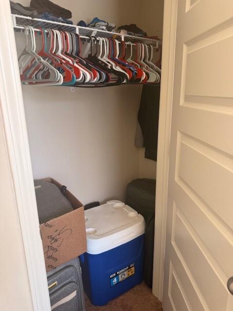 12149 Centerra Drive Hampton, GA 30228 - Photo 36 of 48 a view of walk in closet