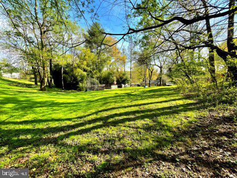 6494 Briggs Road Warrenton, VA 20187 - Photo 72 of 76 Backyard