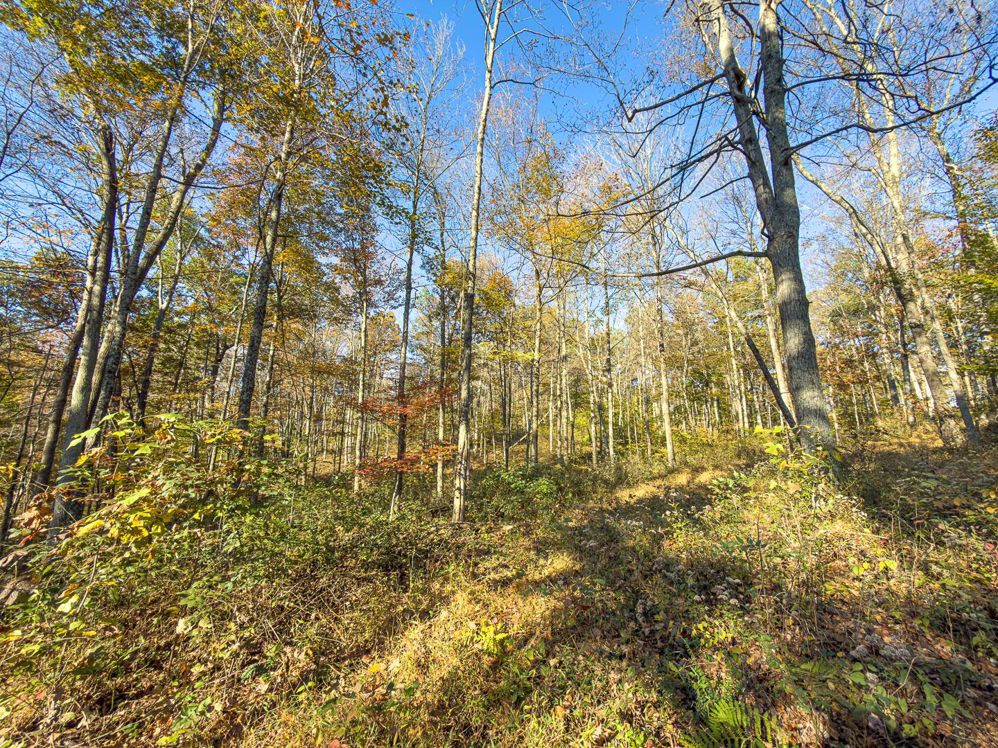 0 Chase Road Albany, OH 45710 - Photo 22 of 37 Chase Rd-22