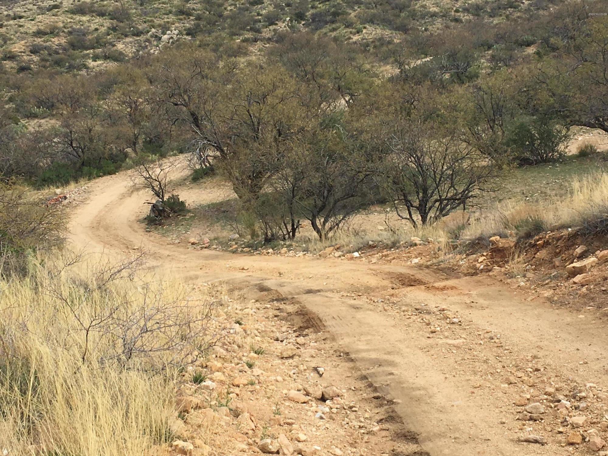 Unassigned West Dogtown Road Sahuarita, AZ 85629 - Photo 11 of 15