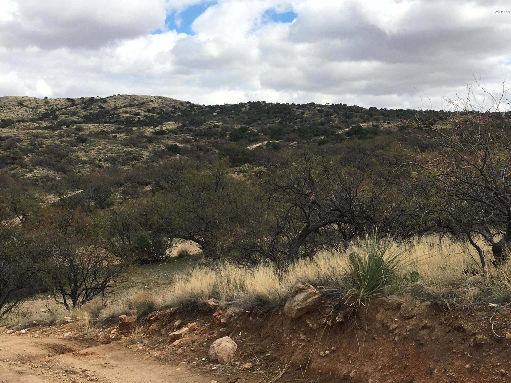 Unassigned West Dogtown Road Sahuarita, AZ 85629 - Photo 10 of 15