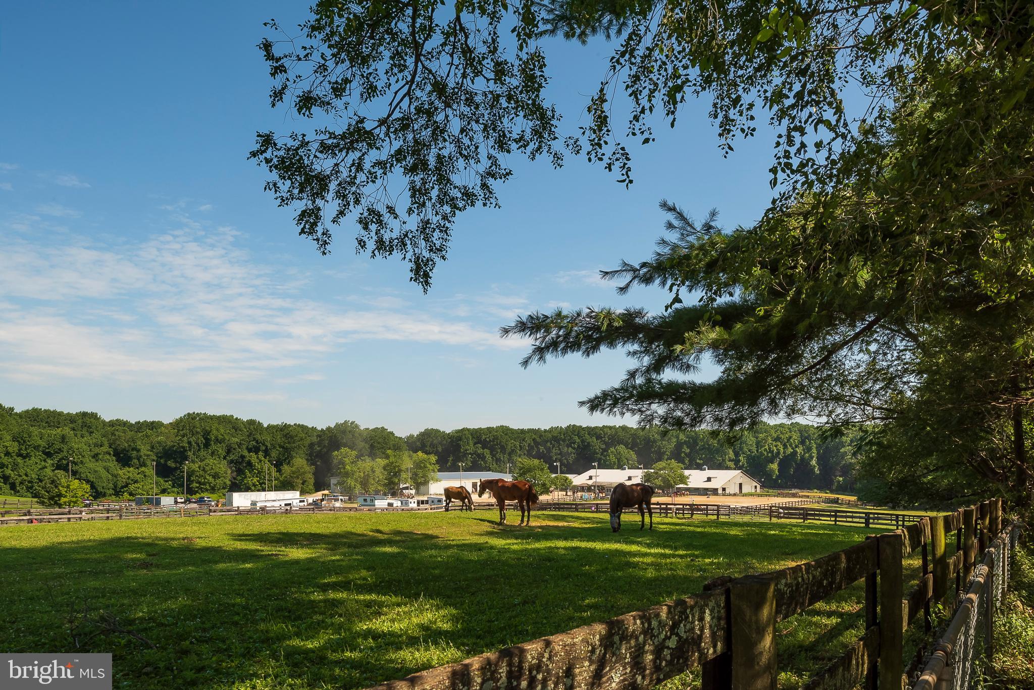 10390 Gorman Road Laurel, MD 20723 - Photo 37 of 40 Back Yard View of Horse Farm