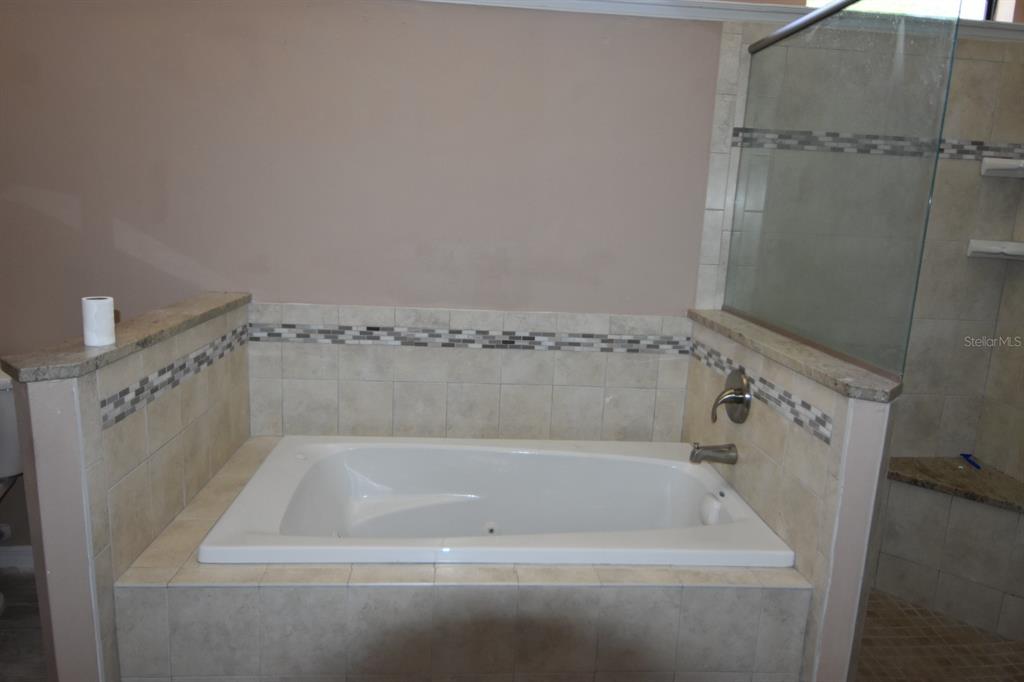 678 Fairchild Avenue Deltona, FL 32725 - Photo 9 of 45 a close view of a bathtub in bathroom