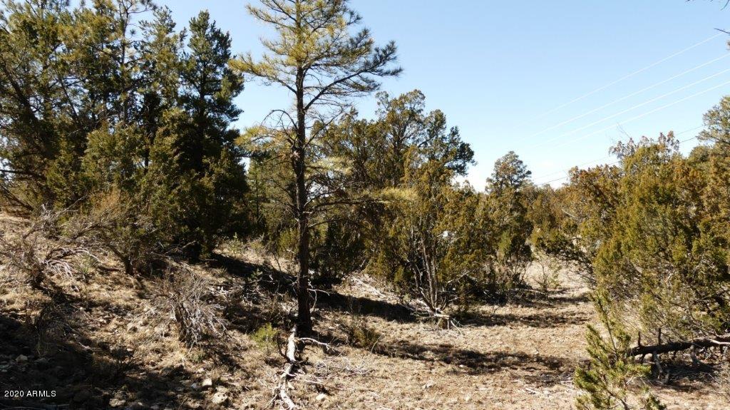 3506 Rae Circle, Unit 242 Overgaard, AZ 85933 - Photo 3 of 10 P1020462