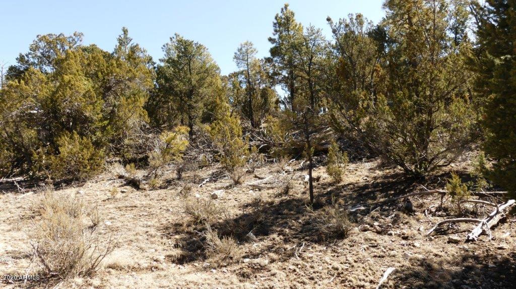 3506 Rae Circle, Unit 242 Overgaard, AZ 85933 - Photo 4 of 10 P1020464
