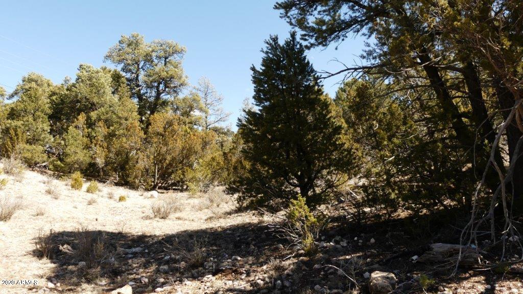 3506 Rae Circle, Unit 242 Overgaard, AZ 85933 - Photo 5 of 10 P1020466