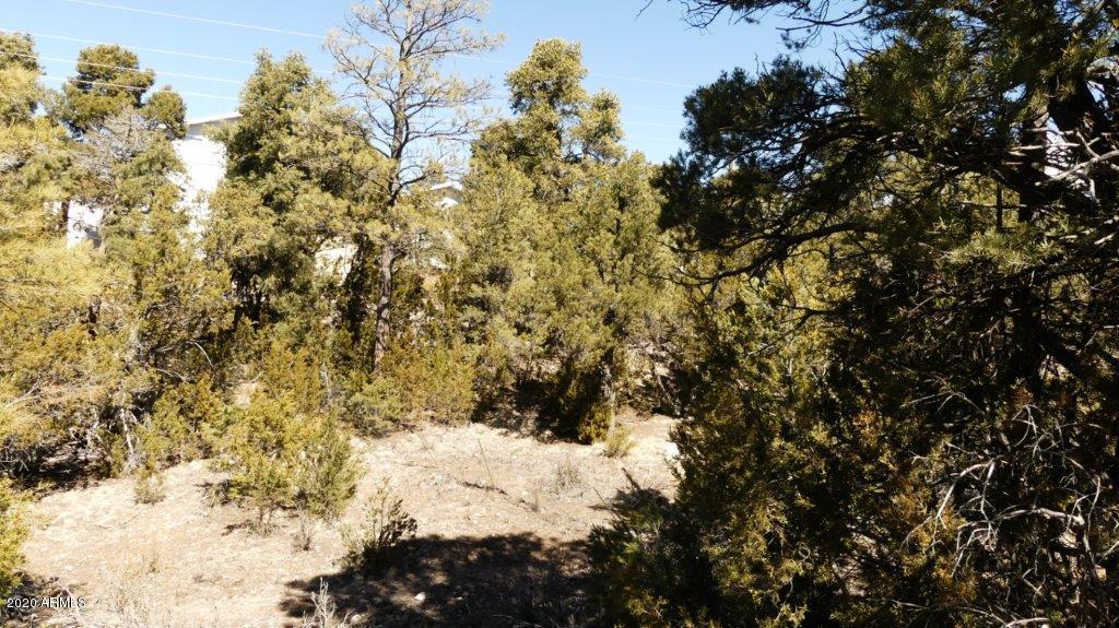 3506 Rae Circle, Unit 242 Overgaard, AZ 85933 - Photo 6 of 10 P1020460
