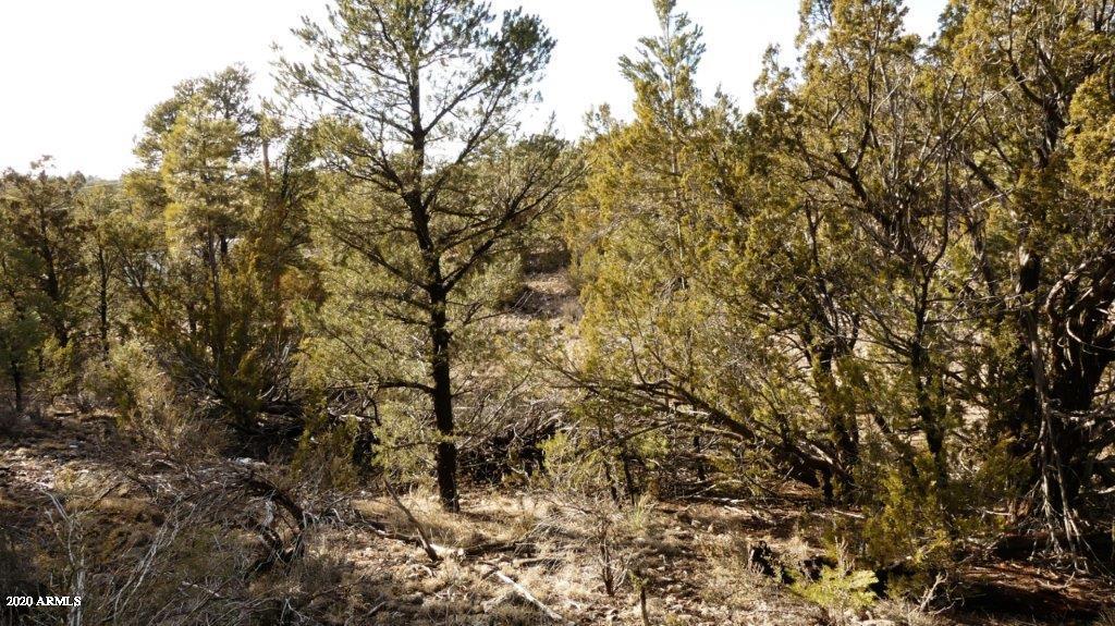 3506 Rae Circle, Unit 242 Overgaard, AZ 85933 - Photo 8 of 10 P1020453