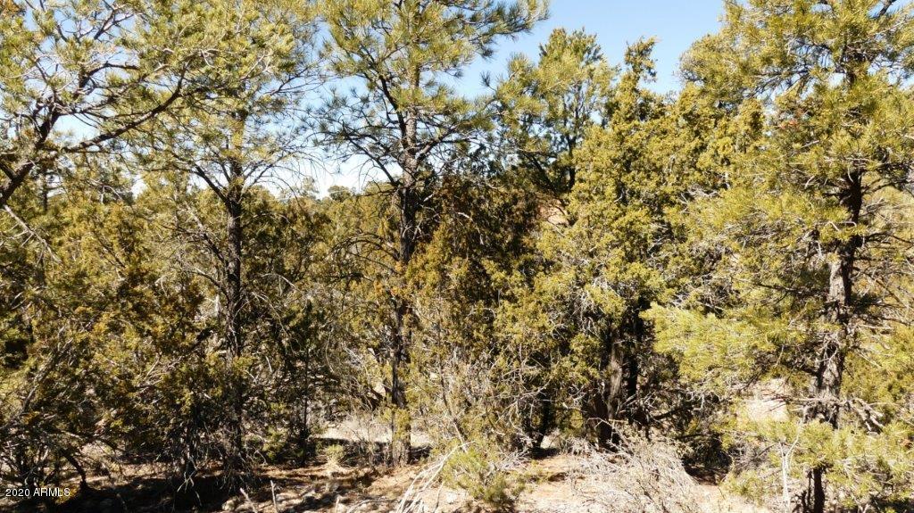 3506 Rae Circle, Unit 242 Overgaard, AZ 85933 - Photo 9 of 10 P1020458