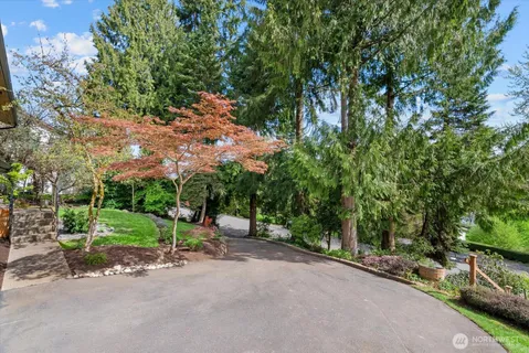 a view of a park with plants and trees