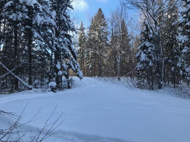 0 South McIntyre Road Houlton, ME 04730 - Photo 10 of 16 IMG_2216