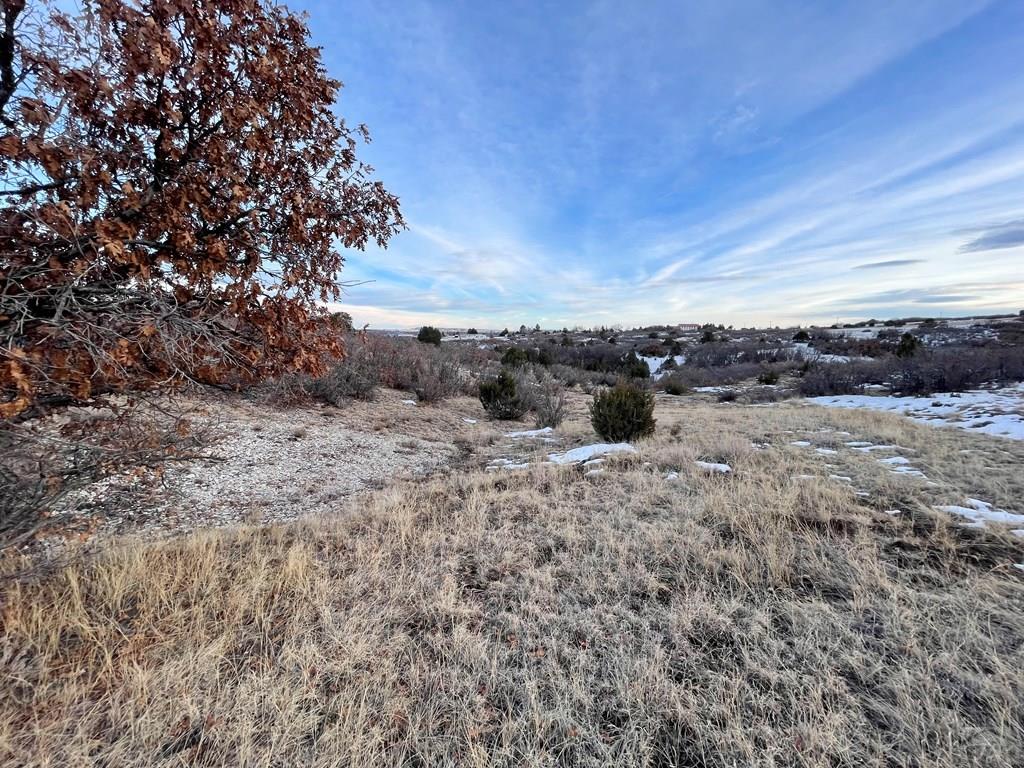 5 Lago Vista Boulevard Rye, CO 81069 - Photo 30 of 35