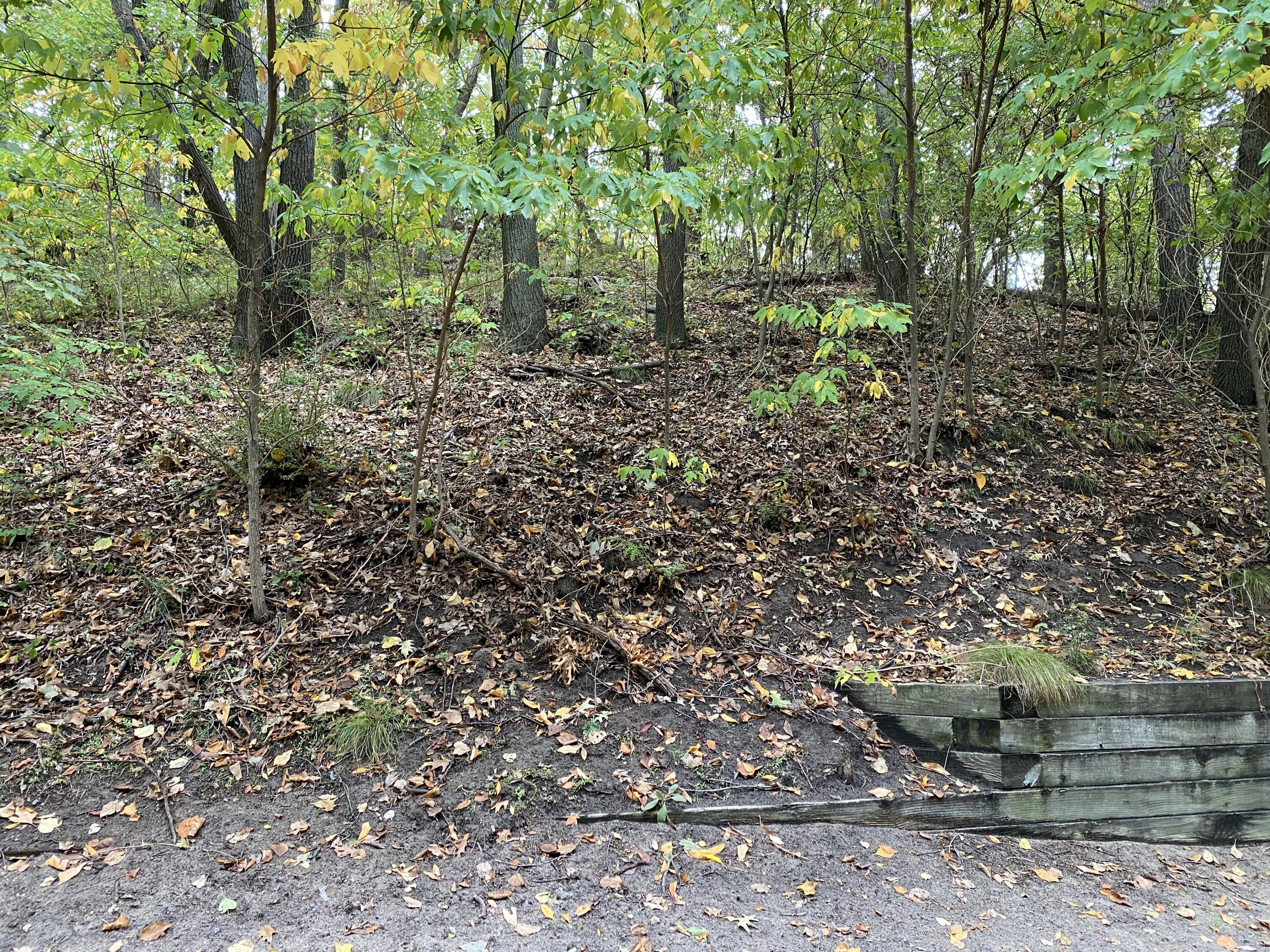 19529 Kluver Road New Buffalo, MI 49117 - Photo 2 of 7 IMG_3568