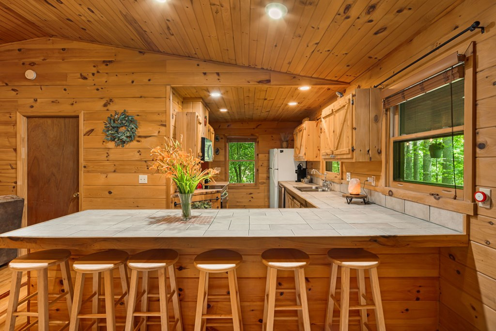 121 Rustys Ridge Bryson City, NC 28713 - Photo 10 of 48 Gallery Image 10