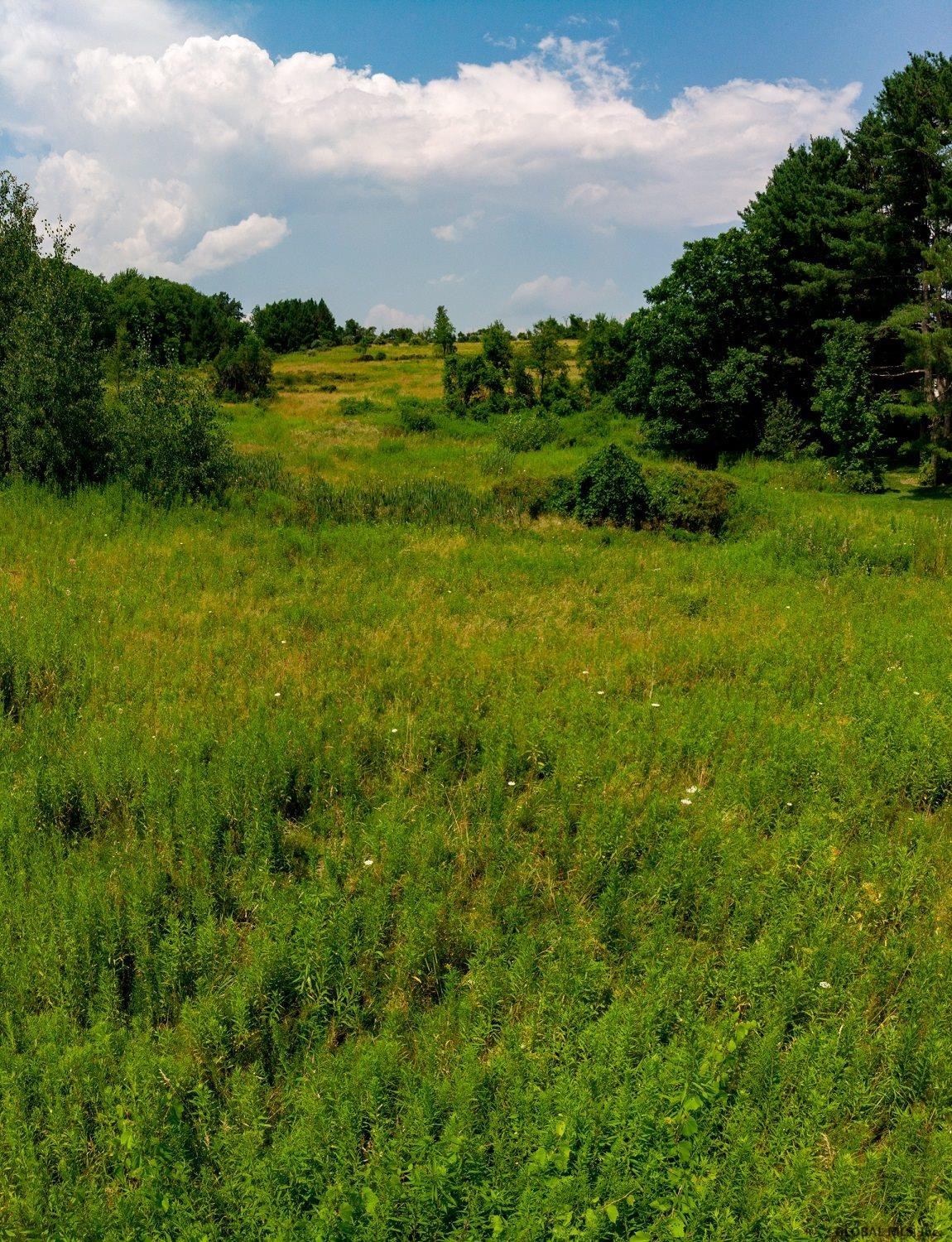 0 Snyders Corner Road Poestenkill, NY 12140 - Photo 4 of 8 Photo 4