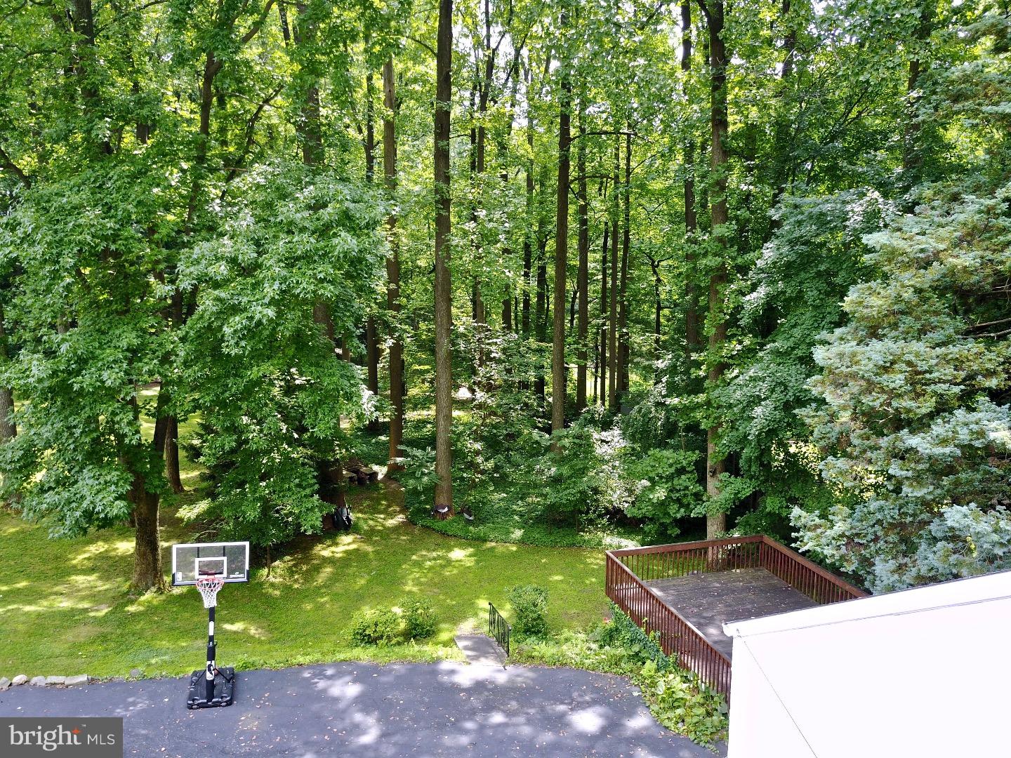 1011 West Avenue Springfield, PA 19064 - Photo 19 of 21 Gallery Image 19