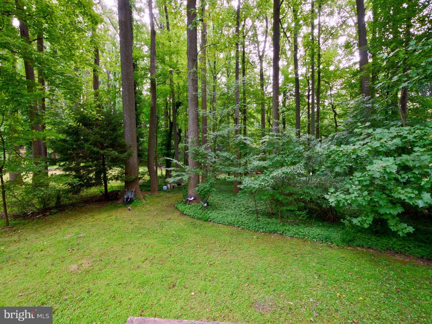 1011 West Avenue Springfield, PA 19064 - Photo 20 of 21 Back Yard