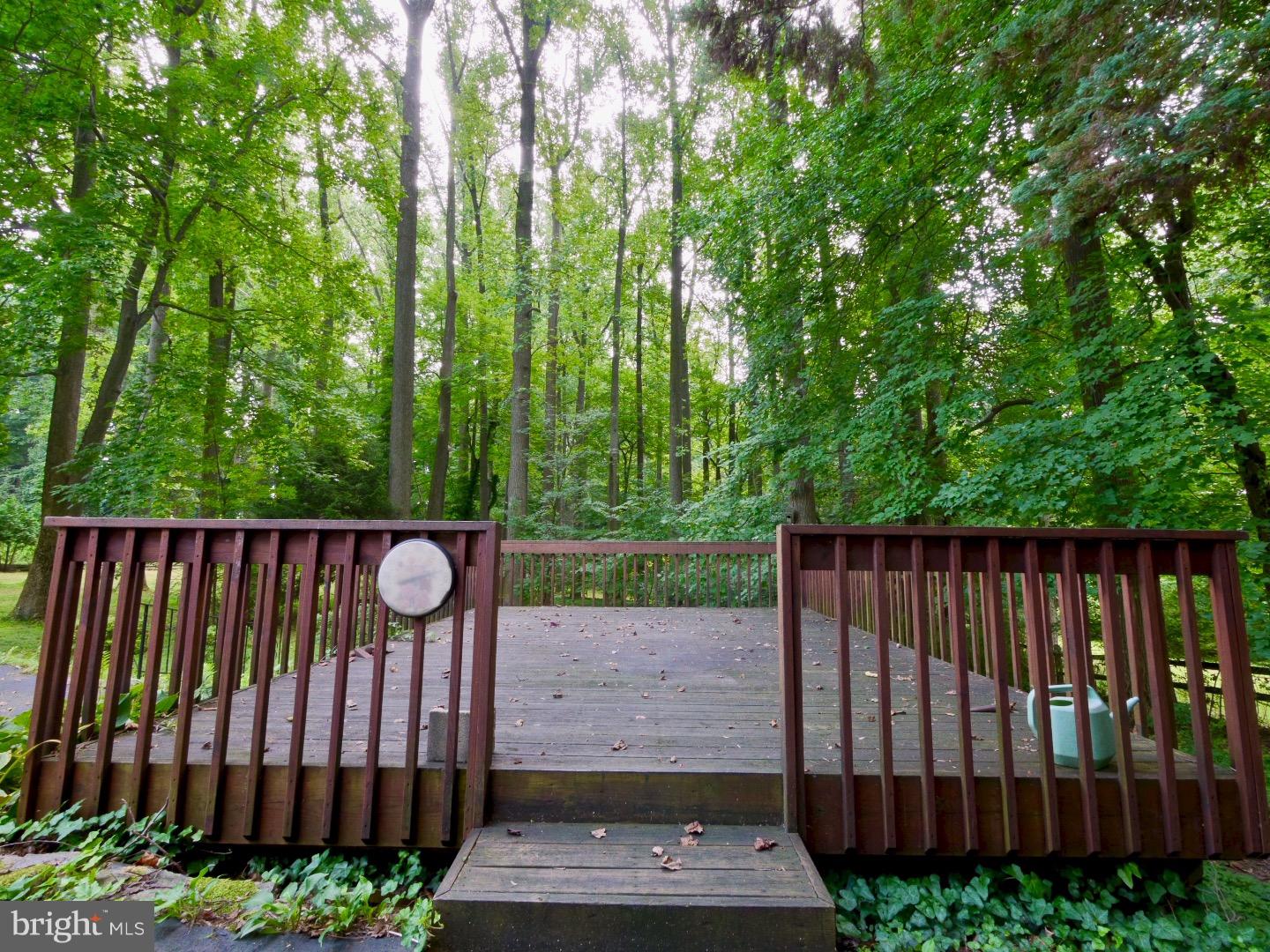 1011 West Avenue Springfield, PA 19064 - Photo 3 of 21 Deck