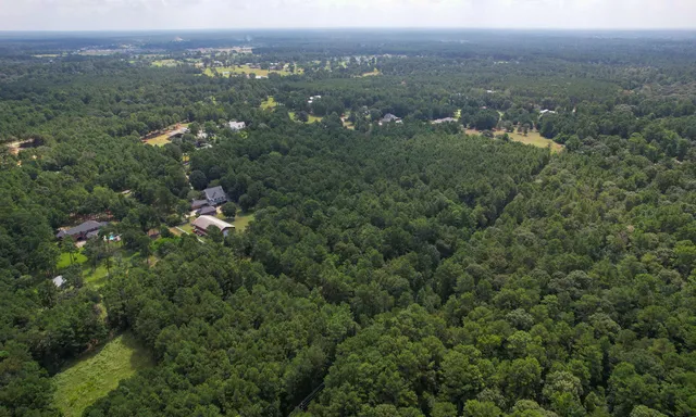 an aerial view of a town with trees