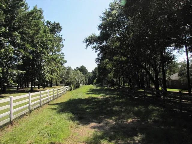 a view of a yard with large trees