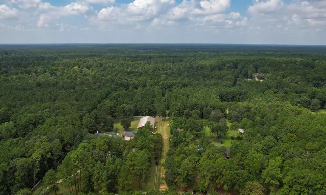 a view of a bunch of trees and bushes