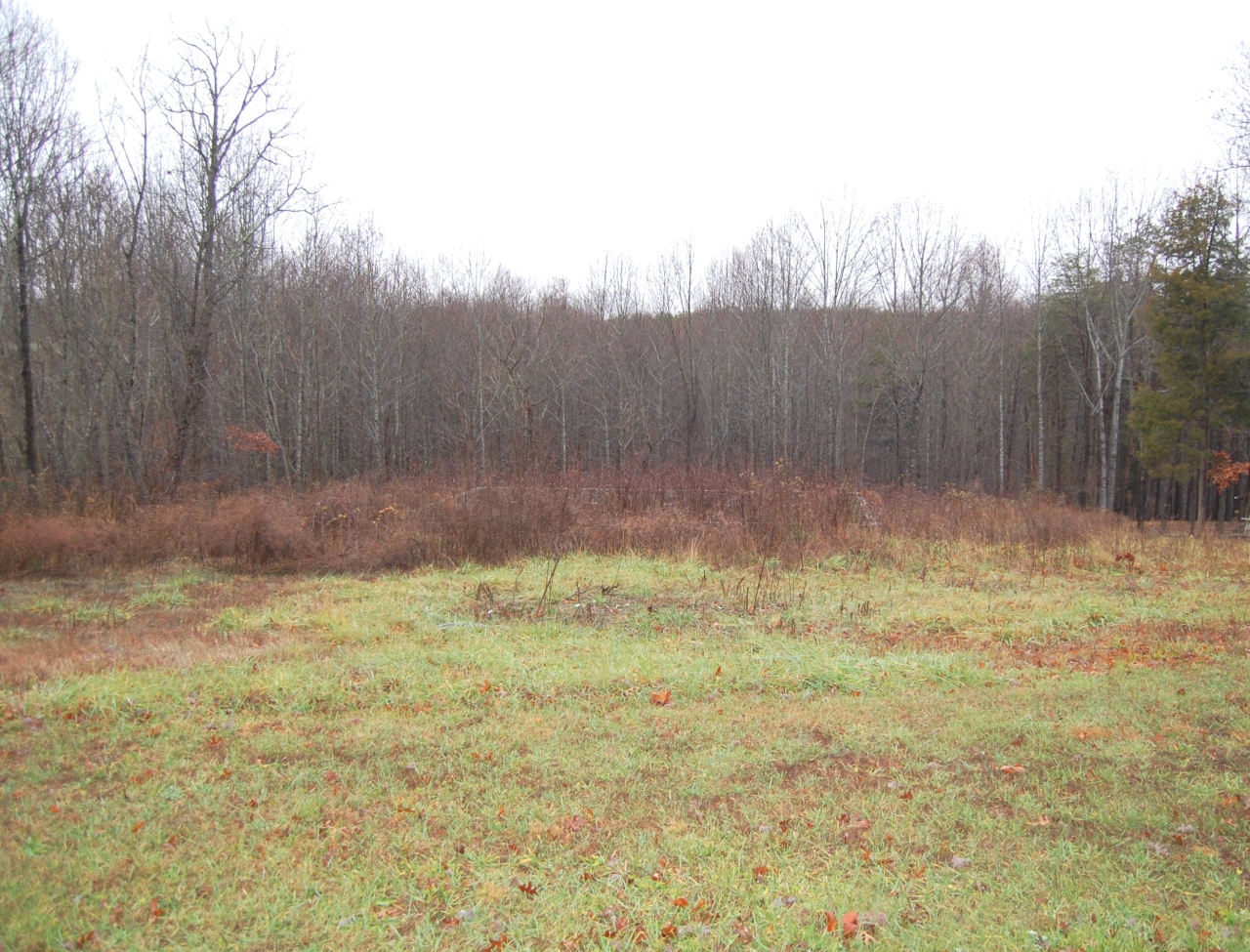 Lot 1 Beulah Road Rocky Mount, VA 24151 - Photo 5 of 5 View of lot