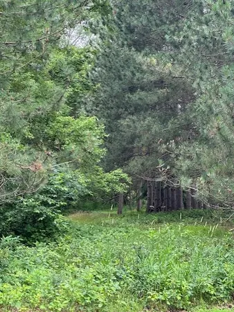 $60,000 | 1648 38th Street South, St. Cloud, MN 56301