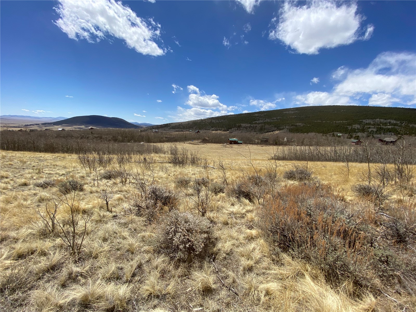 290 Sheep Ridge Road Fairplay, CO 80440 - Photo 33 of 40 Gallery Image 33