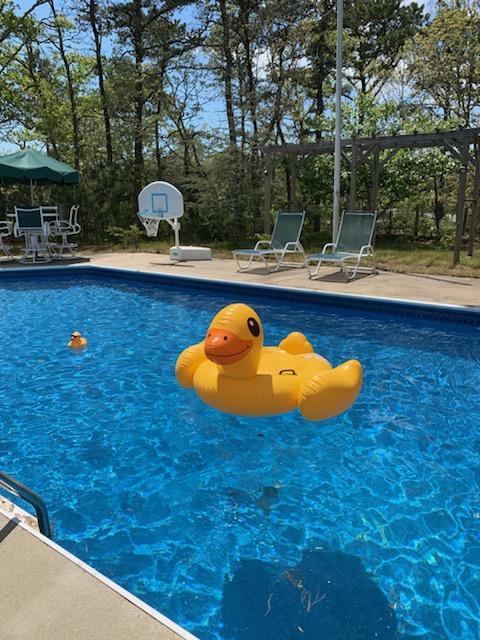 2 Somerset Road Harwich, MA 02645 - Photo 1 of 37 ducks