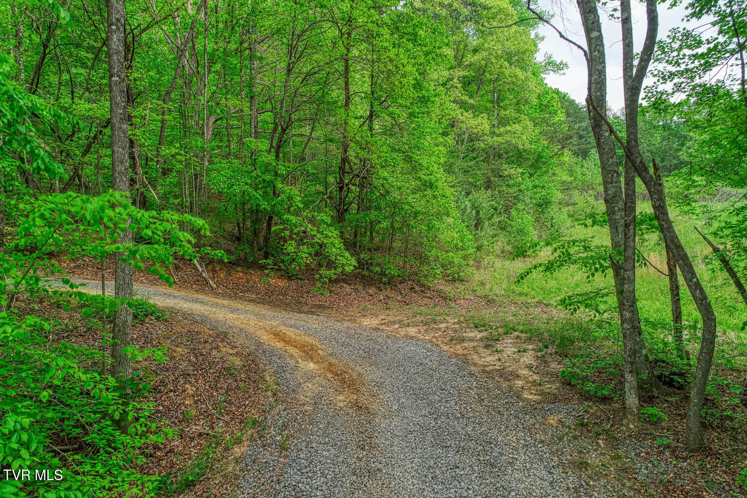 Tbd Seay Hollow Road Bulls Gap, TN 37711 - Photo 11 of 30 Seay Hollow. Rog MLSb (9 of 28)