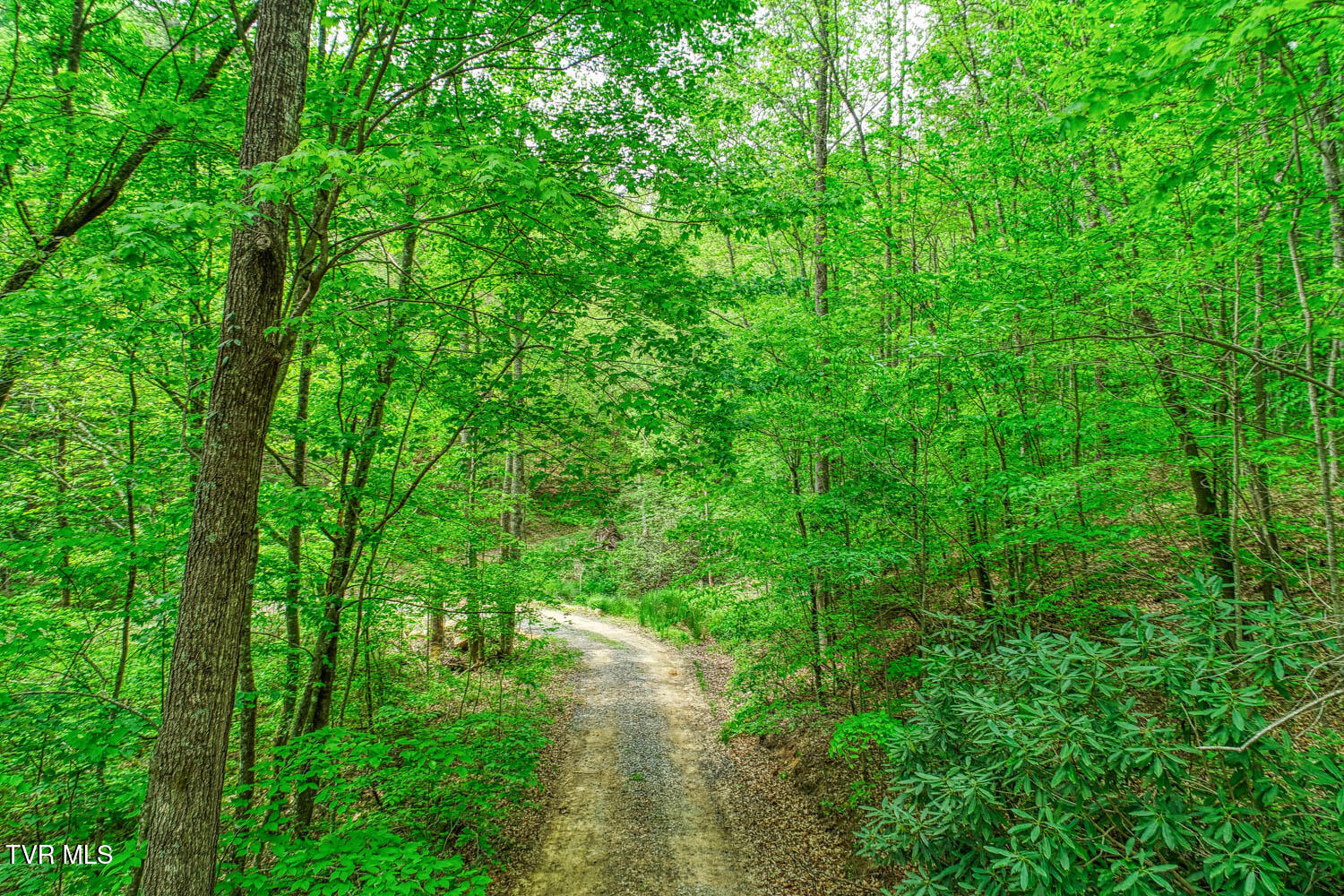 Tbd Seay Hollow Road Bulls Gap, TN 37711 - Photo 12 of 30 Seay Hollow. Rog MLSb (10 of 28)