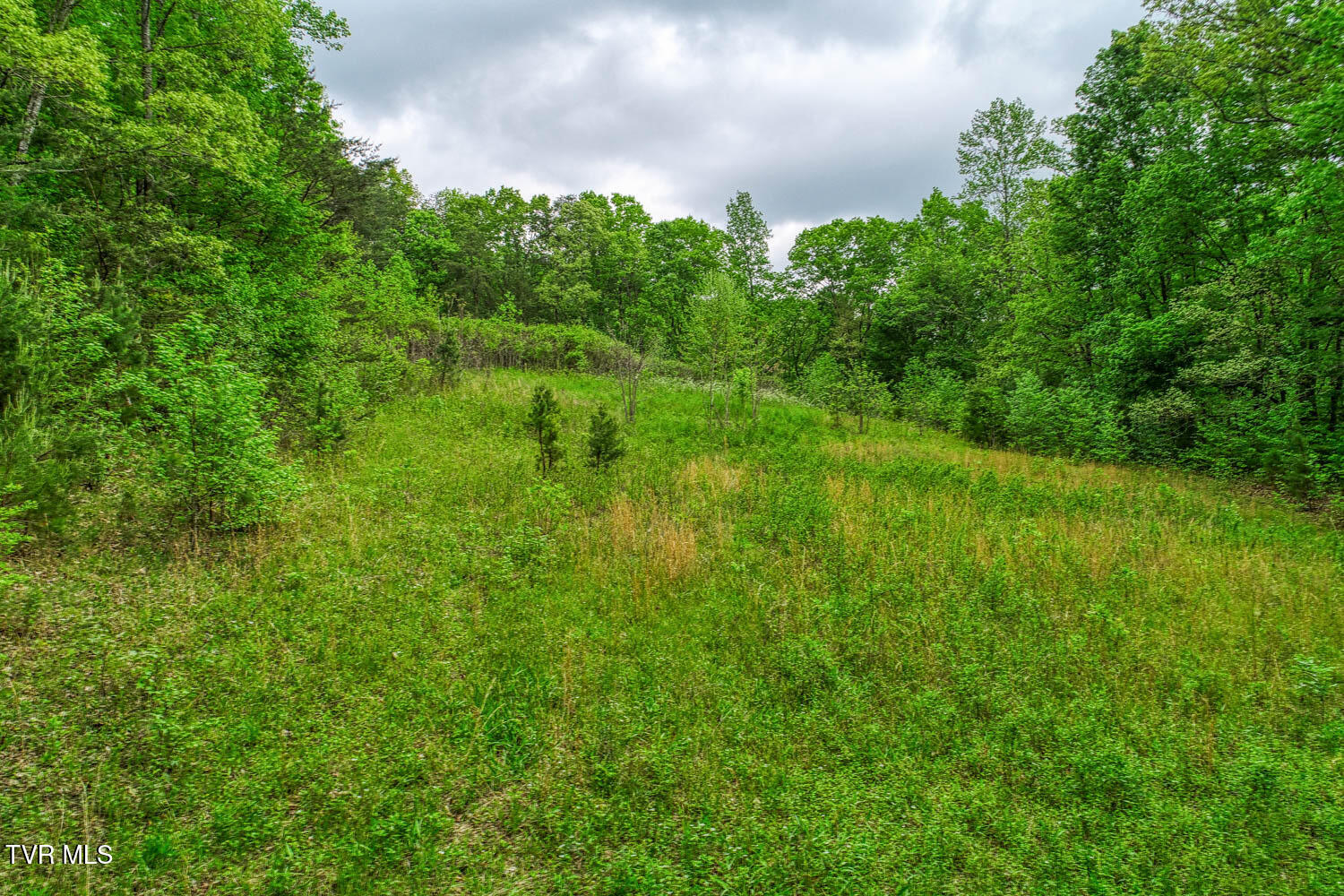 Tbd Seay Hollow Road Bulls Gap, TN 37711 - Photo 15 of 30 Seay Hollow. Rog MLSb (13 of 28)